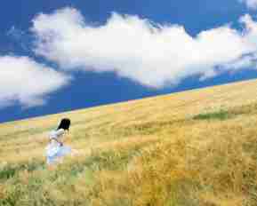 高﻿级‍内‍容​分‍发‍工﻿具‌在﻿哪​